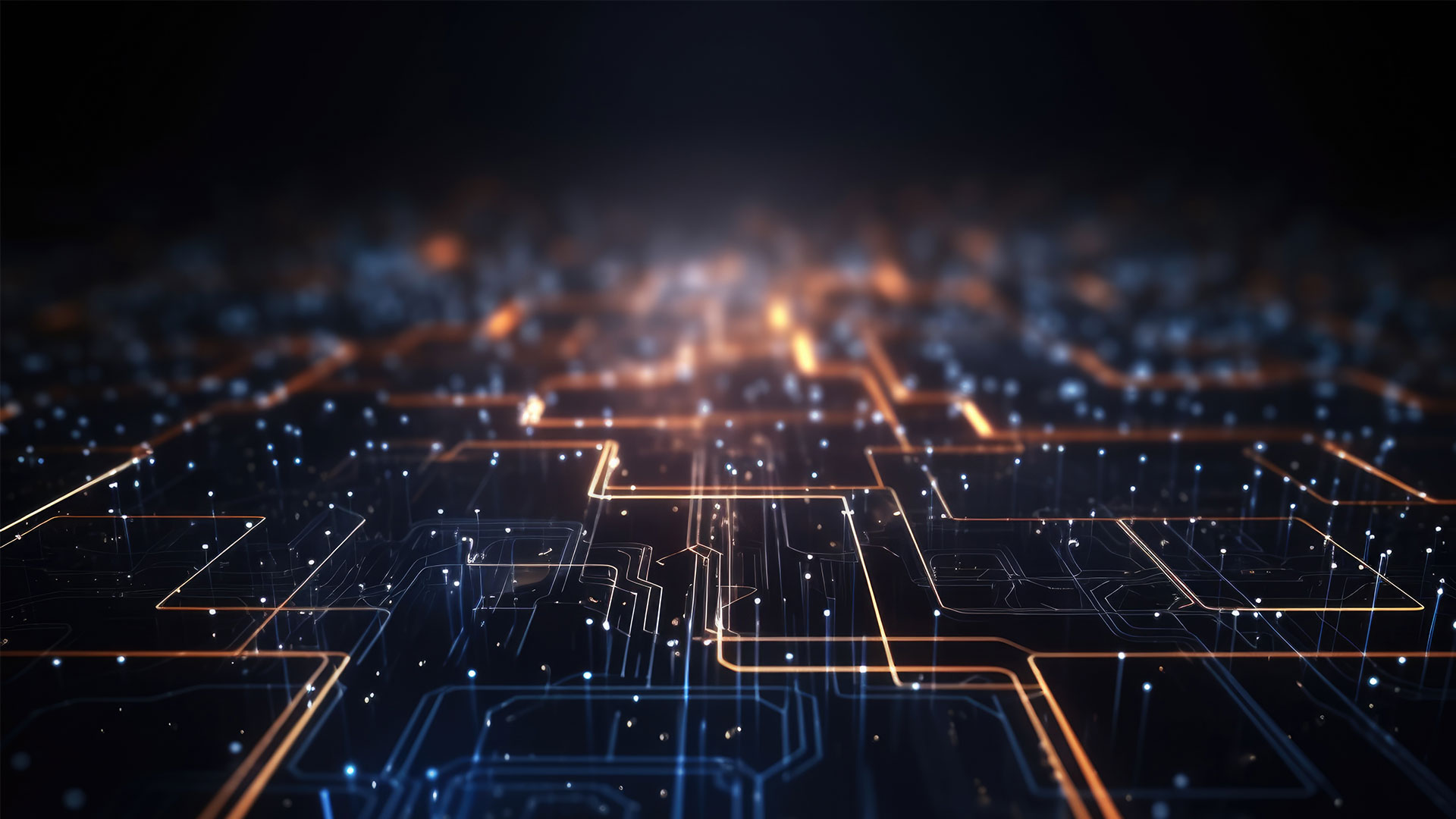 The Evolution of the Internet