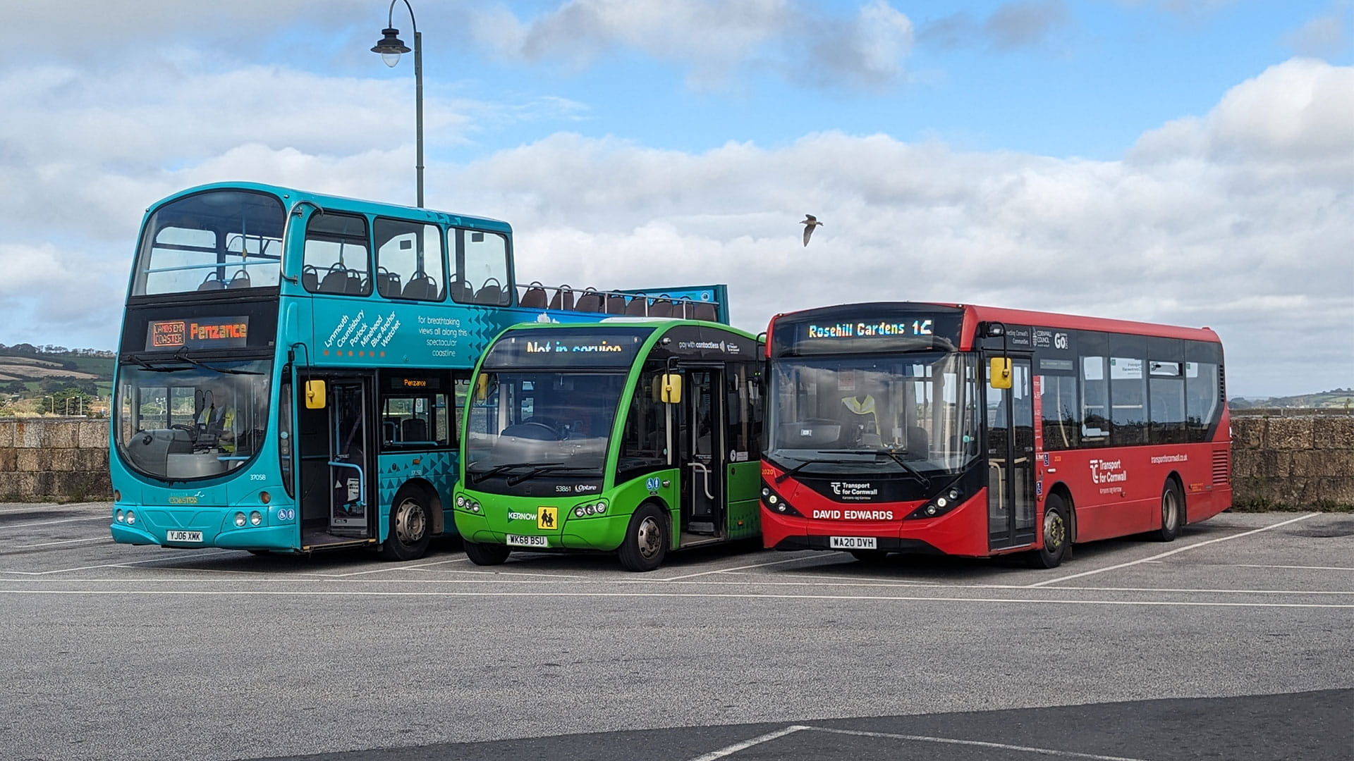 Different busses parked